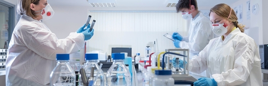 nibr discovery efforts