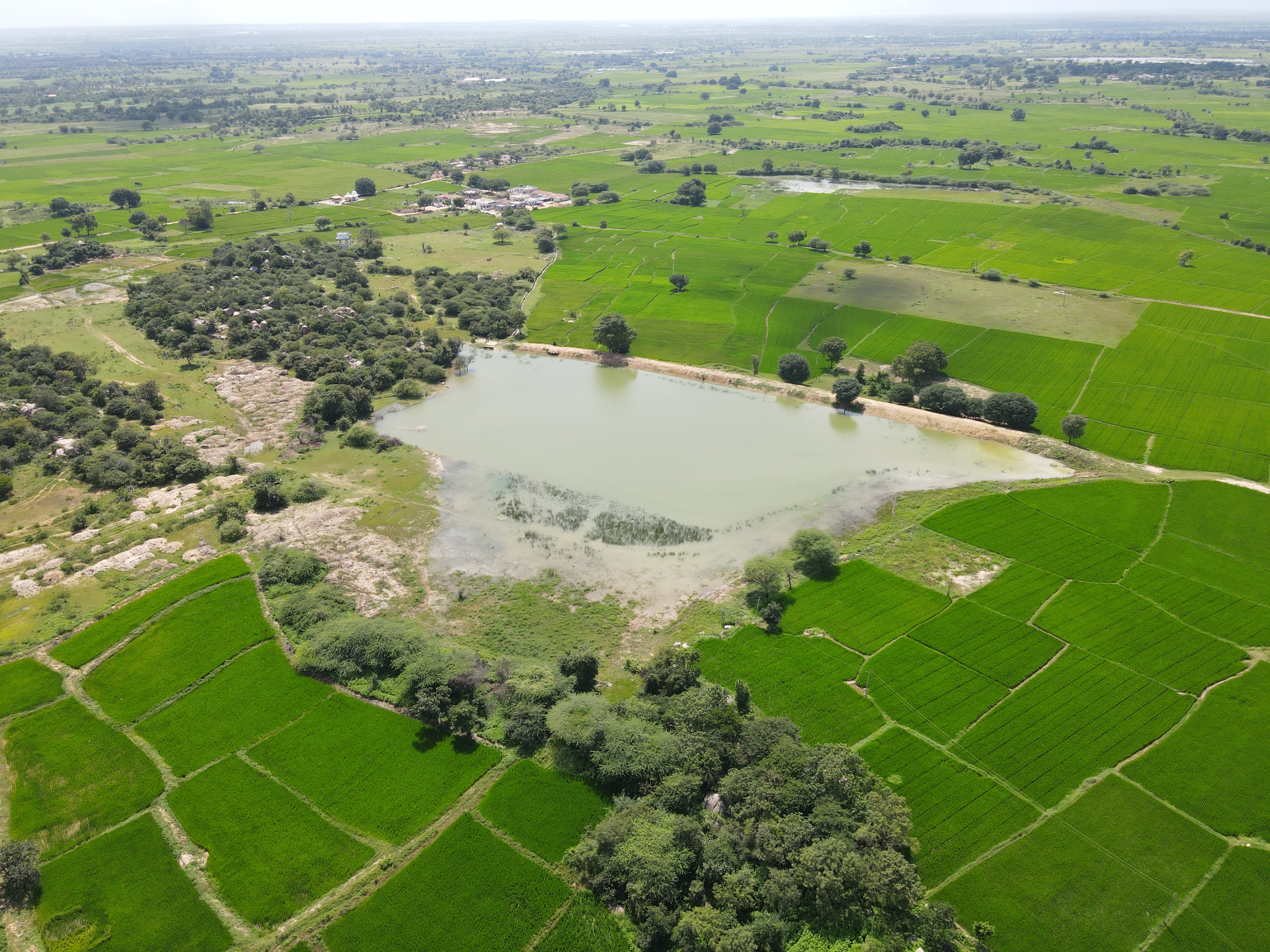 Fields revived through the watershed project