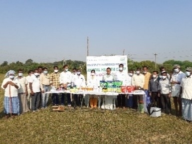 People at the animal health camp