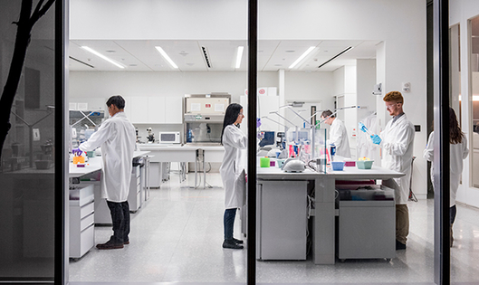 scientists in lab