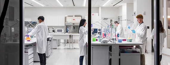 scientists in lab