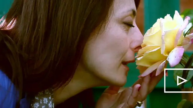 È tempo di vita È tempo di vita