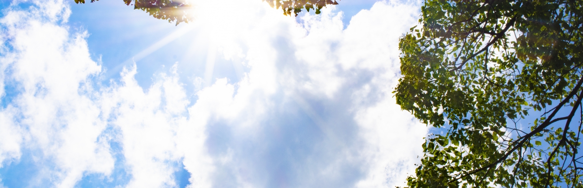 Story_260715-1-2
