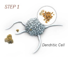 step-1