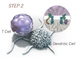 step-2