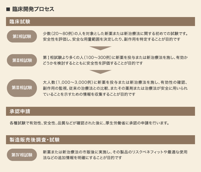 開発職-development