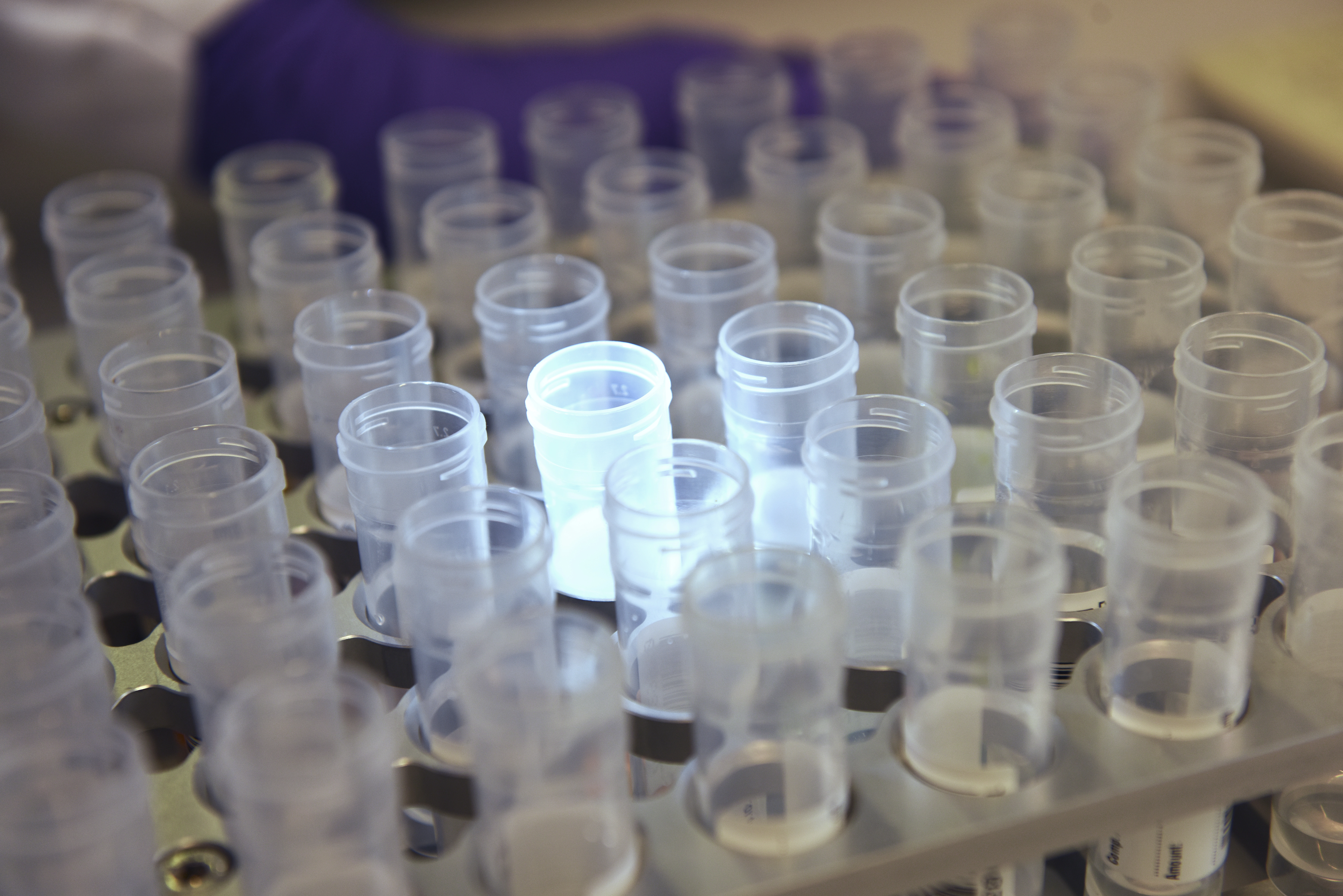 technology-platforms02