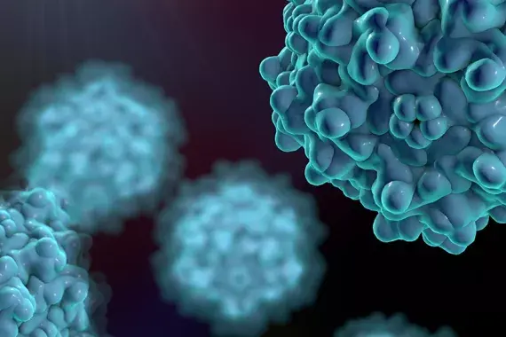 adeno-associated-viruses-3d-hero