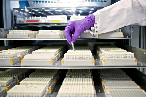Laboratory technician handling test samples in a lab racks