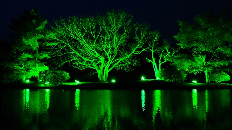 2019 lightup iwate kanjizaiouin