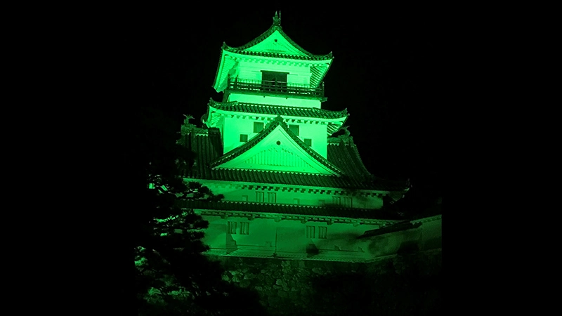 2019 lightup kouchijou