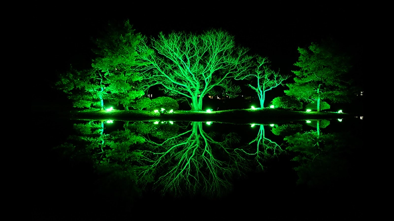 Slideshow_Glaucoma_58