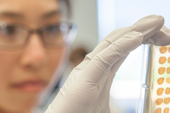 Novartis Innovation