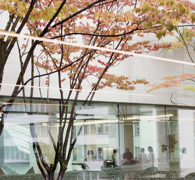 Zmones saleje prie medziu