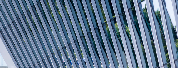 Novartis in Latvia