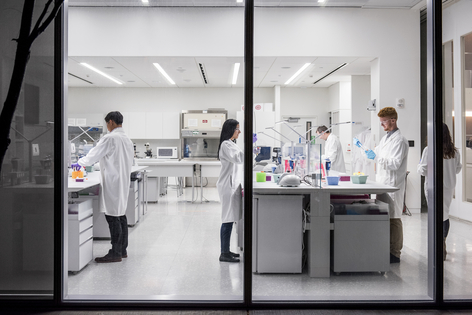 Lab