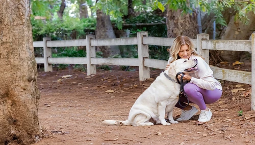 Therapeutische gebieden