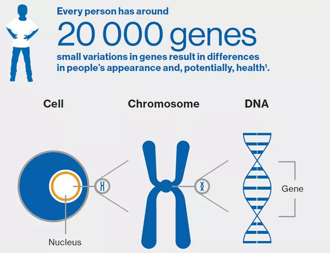Wat zijn cellen en genen?