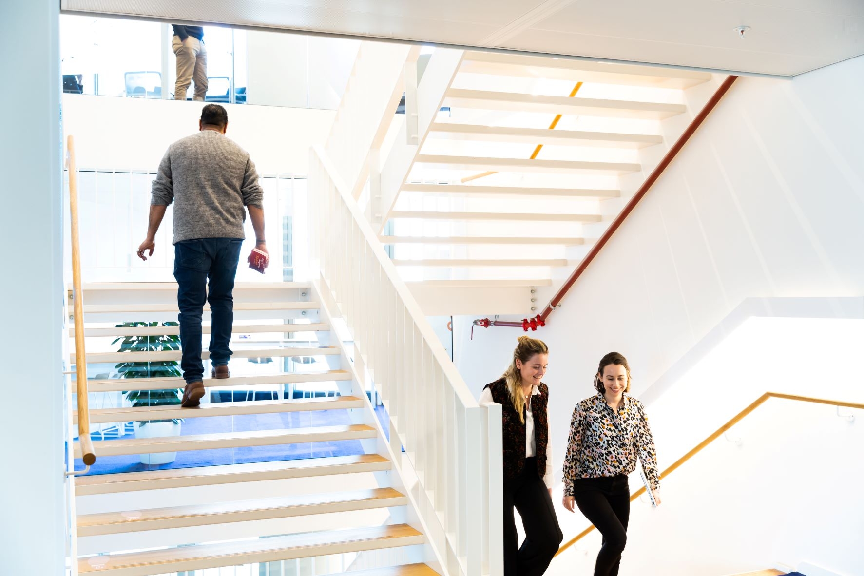 Trappenhuis Novartis kantoor
