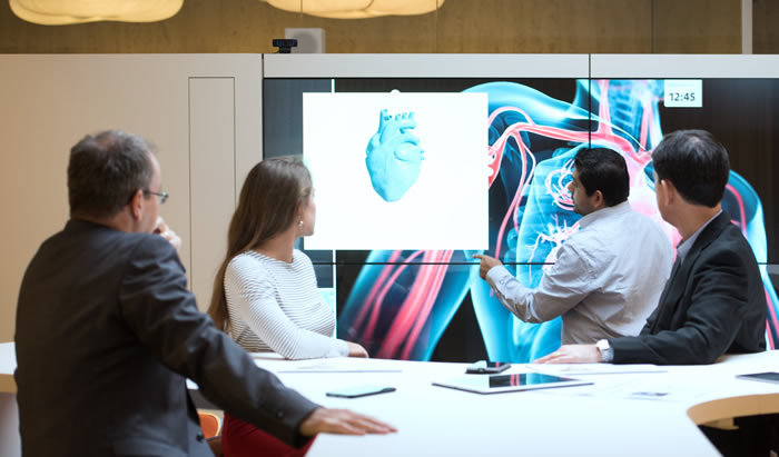 Presentatie over cardiovasculaire aandoeningen