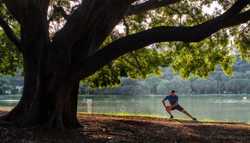 Person making exercises under a tree