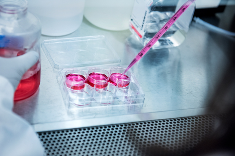 Clinical Trials