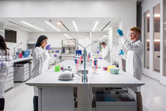 Scientists Working in Laboratory