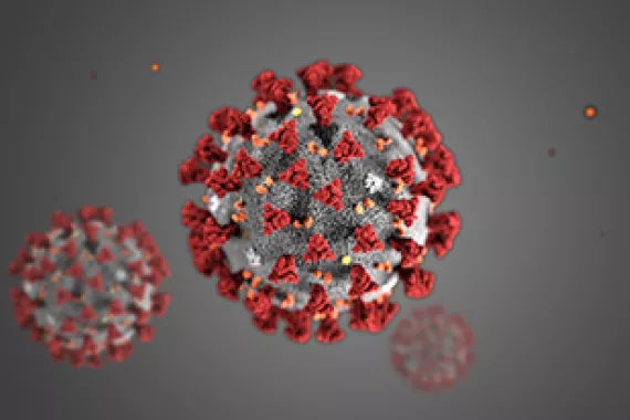 multiple coronavirus illustration content block image