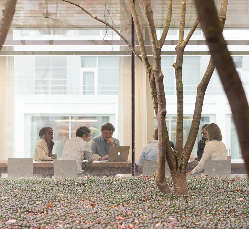 Widok biura Novartis