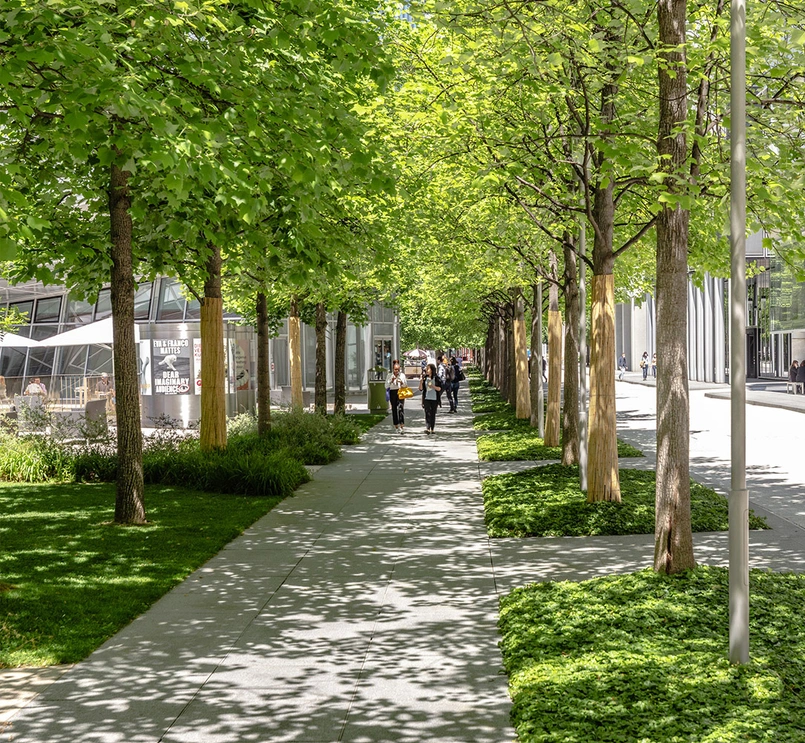 Zrównoważony rozwój środowiska