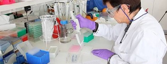 Laborantka pracująca z pipetą