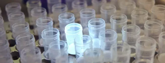 Podświetlone próbki w laboratorium