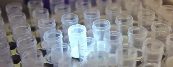 Podświetlone próbki w laboratorium