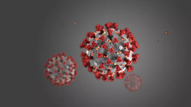 multiple coronavirus illustration