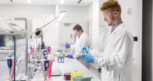 Investigação e desenvolvimento - Cientistas homens a trabalhar no laboratório