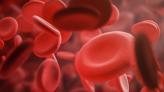 Neoplasias Mieloproliferativas: a importância da avaliação e monitorização dos sintomas Neoplasias Mieloproliferativas: a importância da avaliação e monitorização dos sintomas