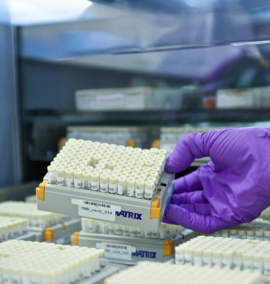 Novartis România