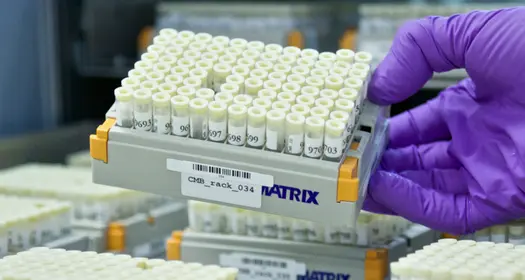 Novartis în România
