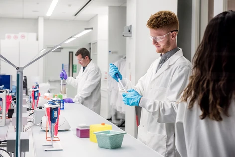 Working in laboratory 