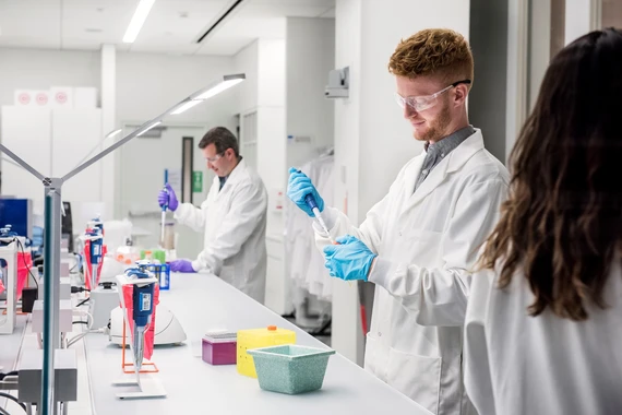 Working in laboratory 