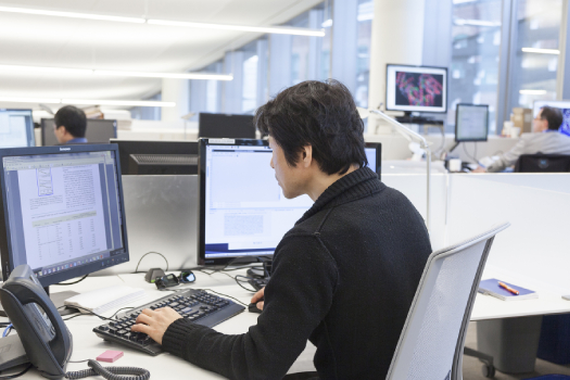 Working on the computer