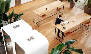 Sodoben coworking prostor z rastlinami in lesenim pohištvom