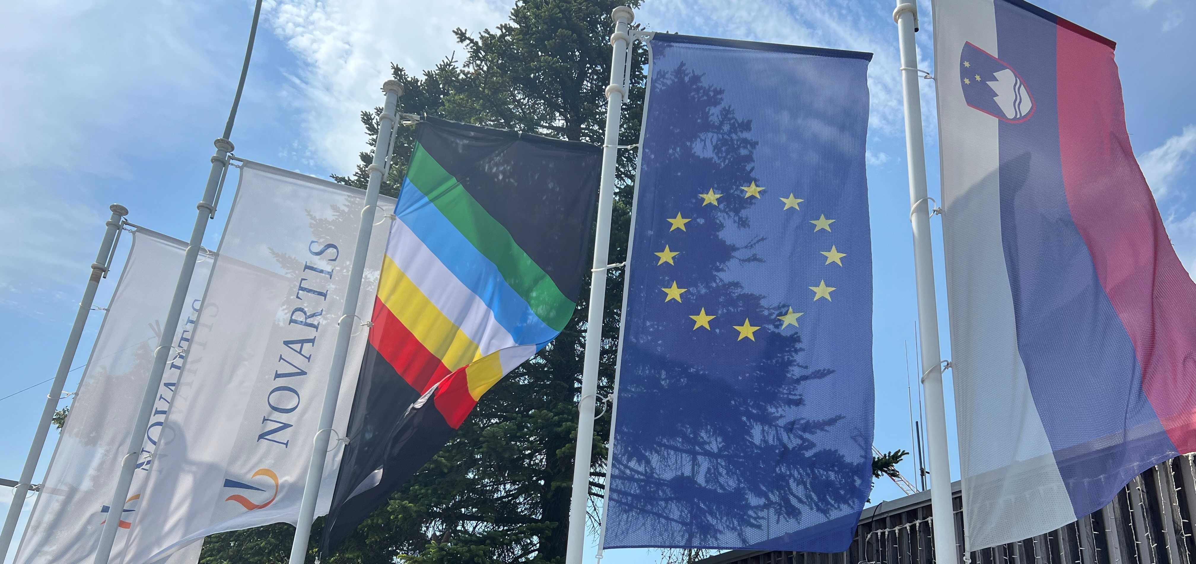 Zastava meseca ponosa oseb z invalidnostmi pred Novartisom v Mengsu