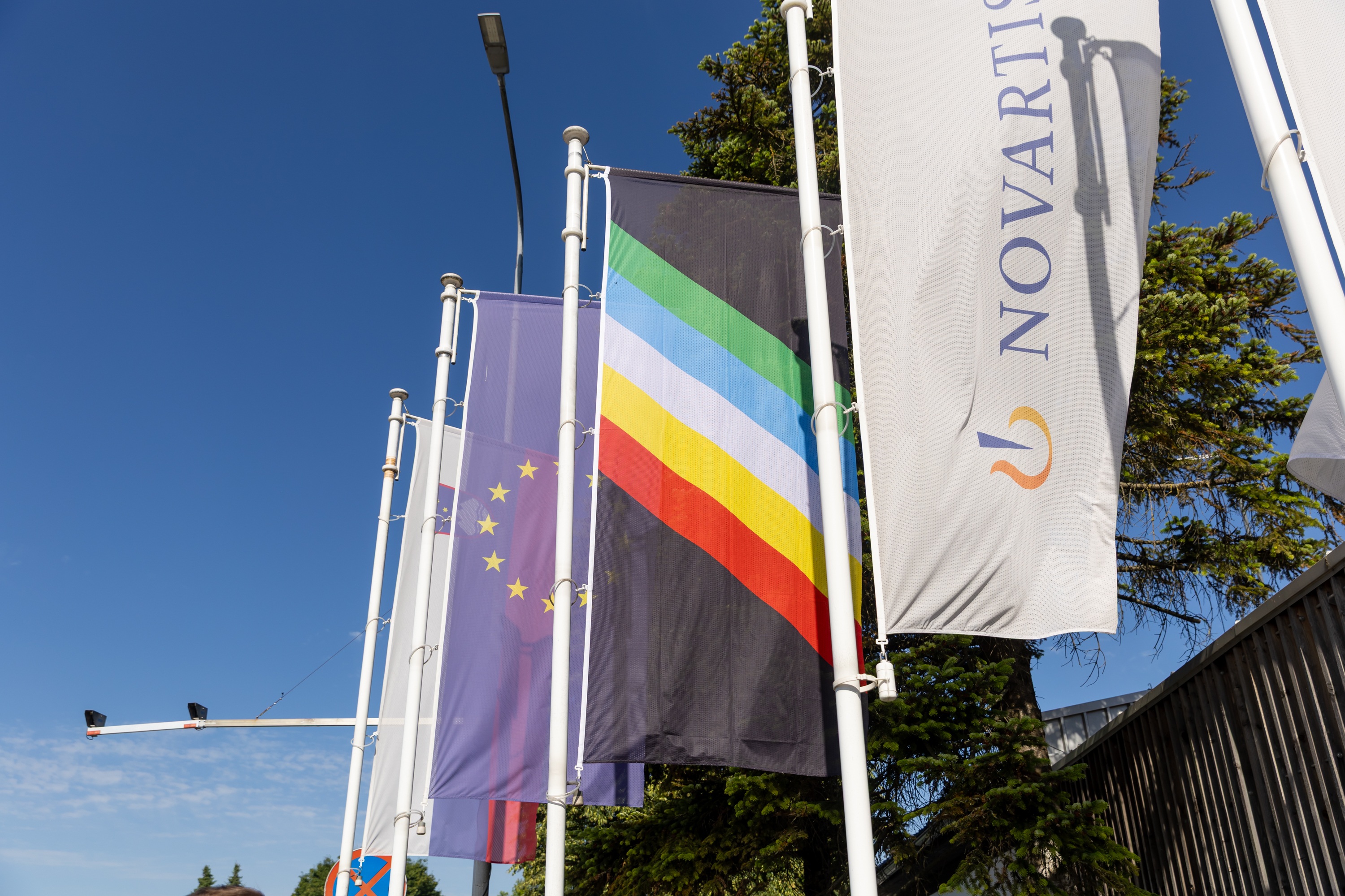 Zastava ponosa oseb z invalidnostmi v Novartisu v Mengšu