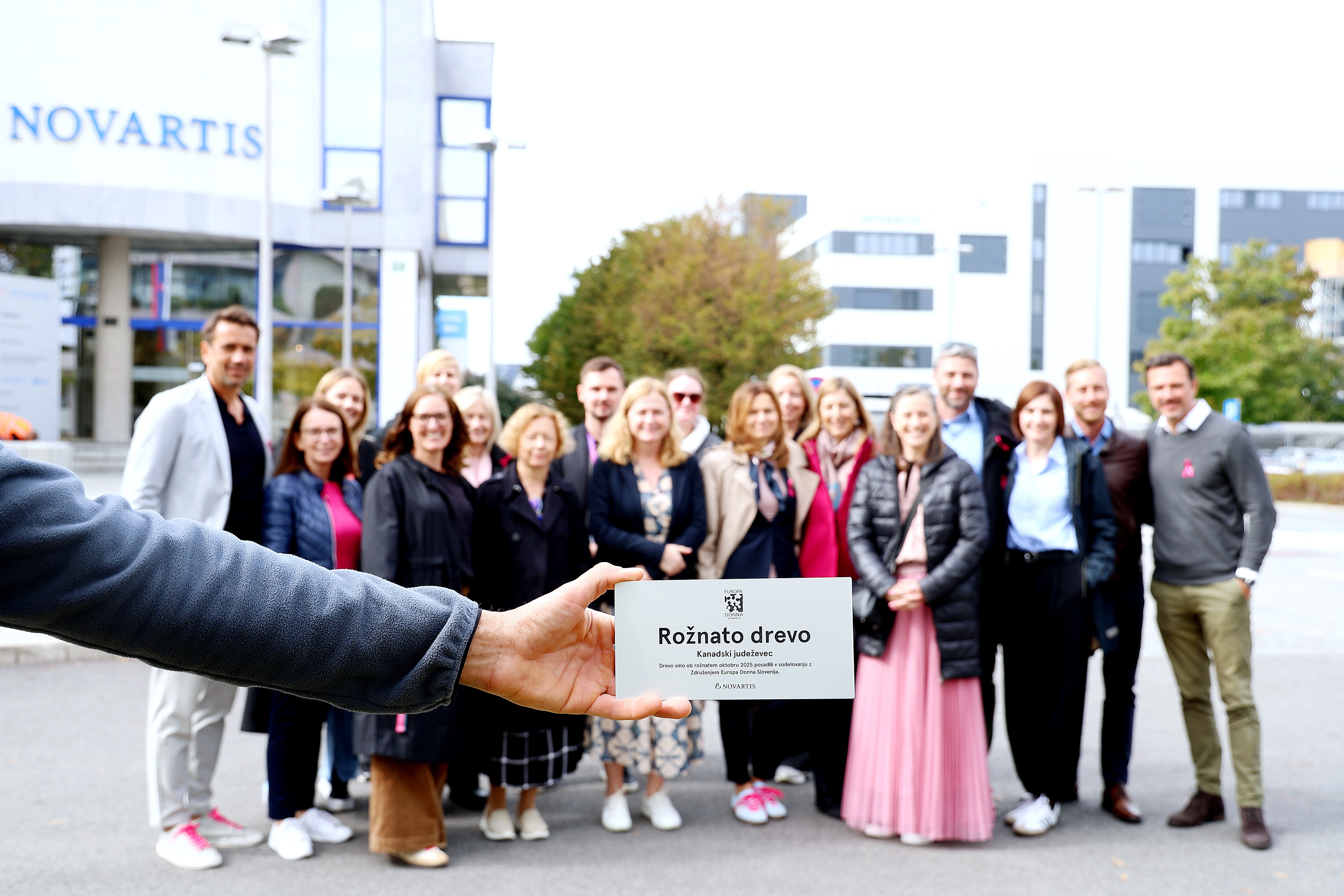 Rožnato drevo posajeno v Novartisu