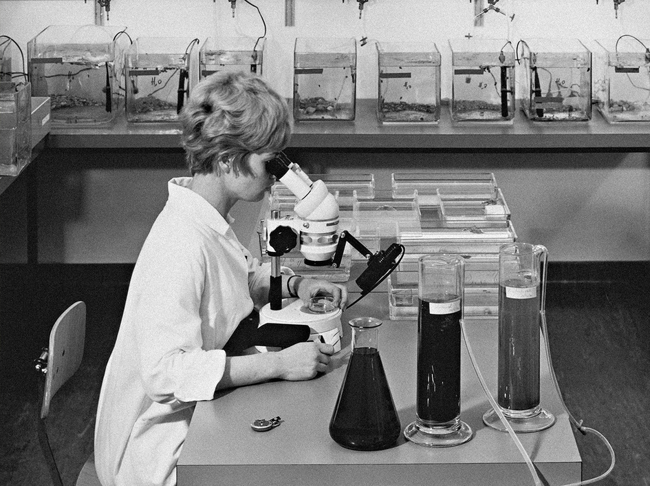 Black and white picture from the 70s of a scientist in a lab using a microscope