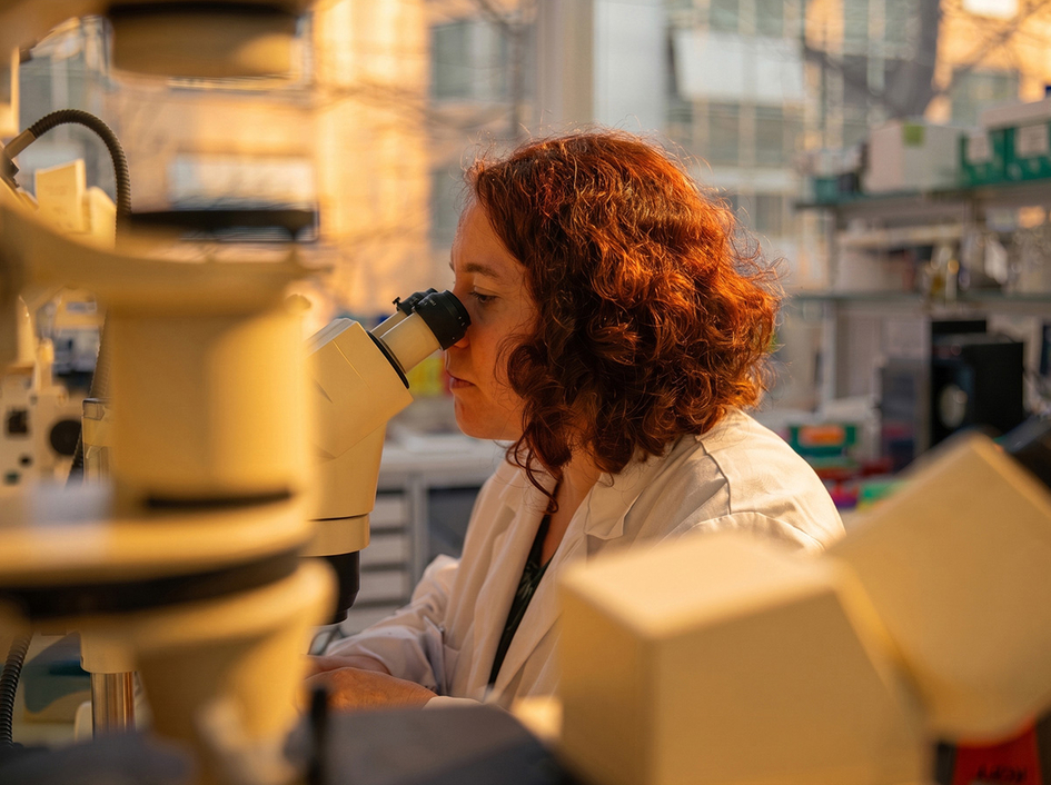 Scientist using a microscope in a bright and warm lab