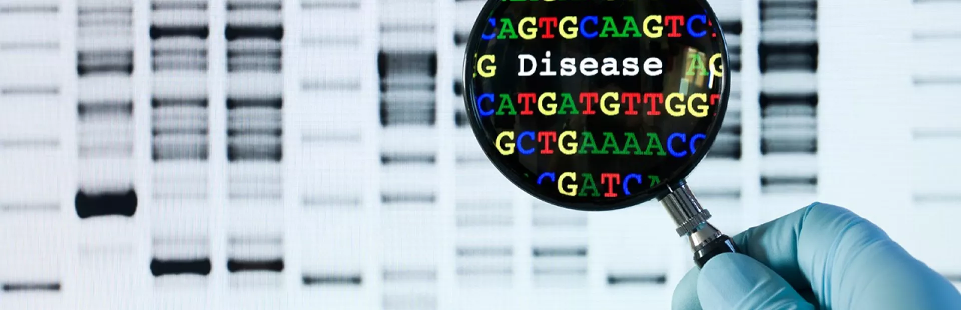 DNA sequencing image with magnifying glass highlighting the word Disease