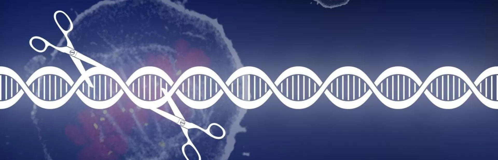 CRISPR genome editing fuels cancer drug discovery