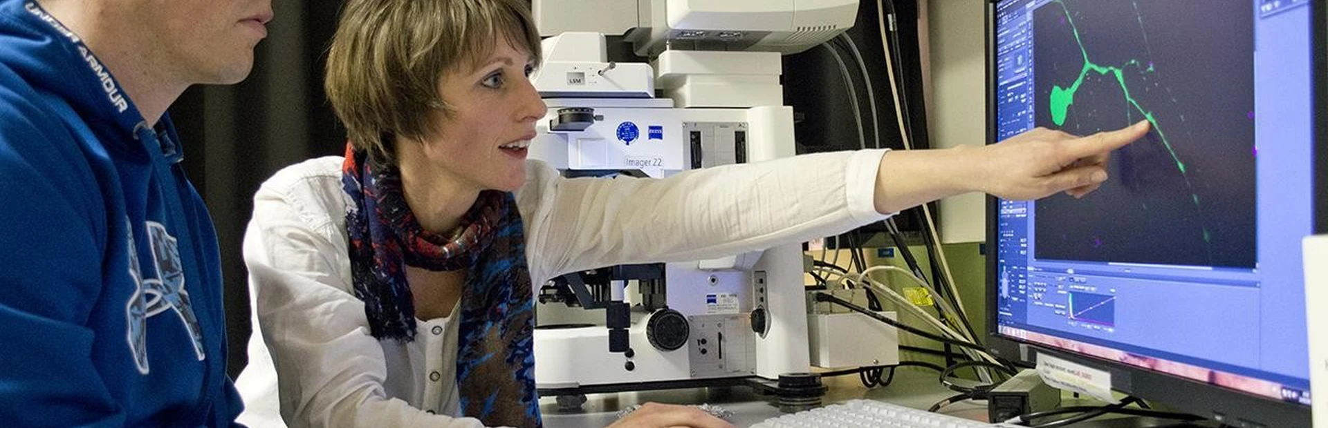 Mutant protein spreads through a neural circuit in Huntington’s Disease